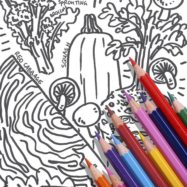 New! Colouring Sheets